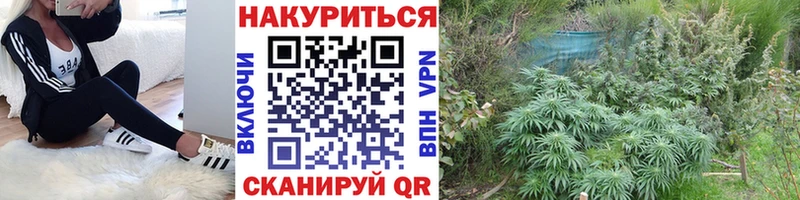 Магазины продажи наркотиков Топки LSD-25  Alpha-PVP  hydra зеркало  Кокаин  ГАШИШ  МЕФ 