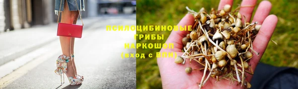ГАЛЛЮЦИНОГЕННЫЕ ГРИБЫ Майский