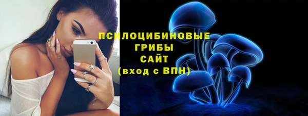ГАЛЛЮЦИНОГЕННЫЕ ГРИБЫ Майский