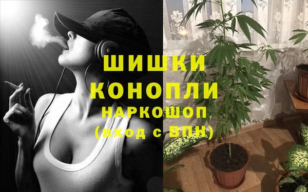 МДПВ Магас
