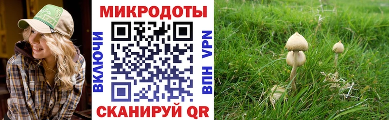 даркнет сайт  Топки  darknet состав  Галлюциногенные грибы Magic Shrooms 